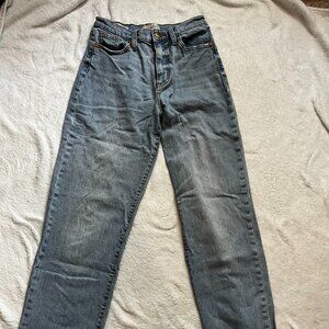 Light Wash Straight Leg High Rise Jeans